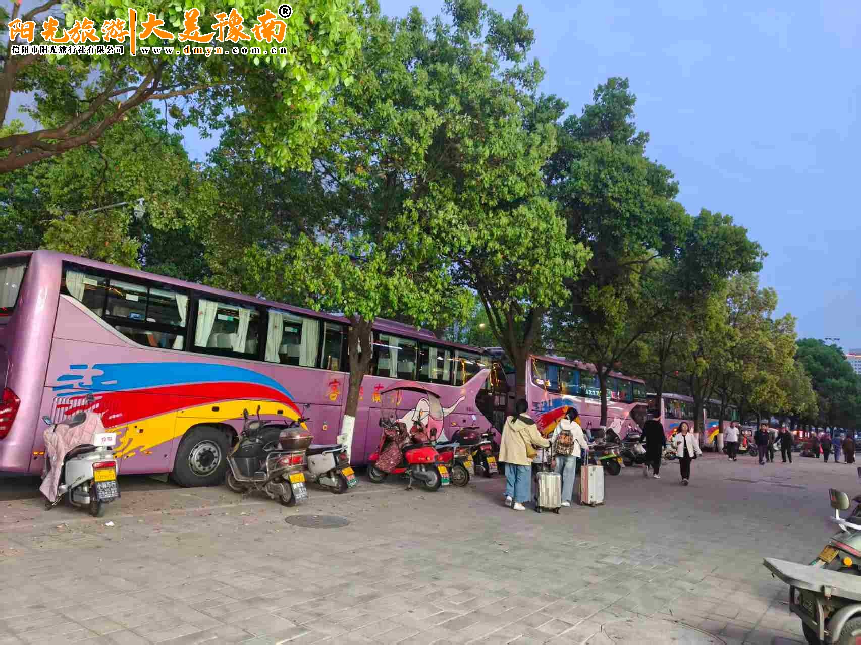 信阳团餐活动头图