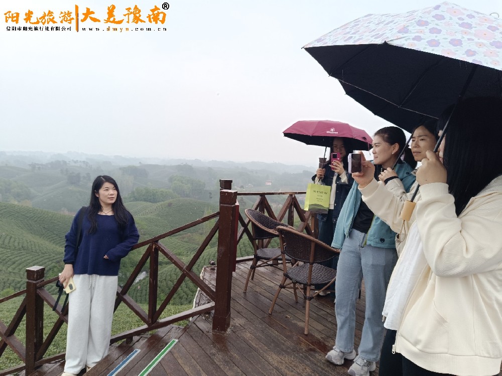 文新茶村大门或全景