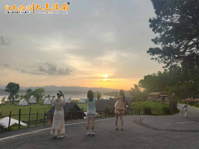 信阳孔雀岛浉河港一日游：赏孔雀品茶采茶攻略